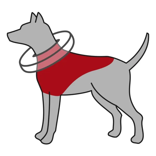 Trixie Köpek Koruyucu XS Mavi Şişme Yakalık - Görsel 2