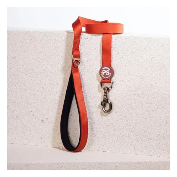 Pawstar Kiremit Köpek Gezdirme Kayışı 120 Cm X 2 Cm - Görsel 3