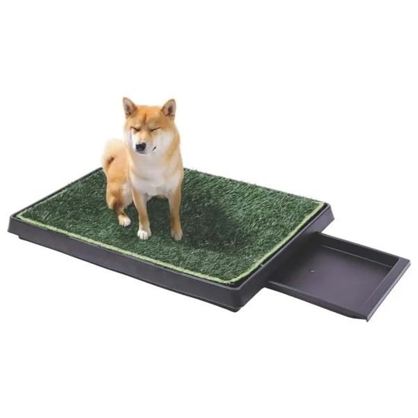 M-Pets Grass Mat Çimli Çekmeçeli Köpek Tuvaleti XL 50X76CM - Görsel 2