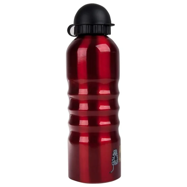 Biggdesign Cats 700 Ml Çelik Matara - Görsel 2