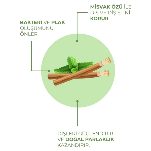 Agarta Doğal Misvak Özlü 100 ml Florürsüz Diş Macunu - Görsel 3