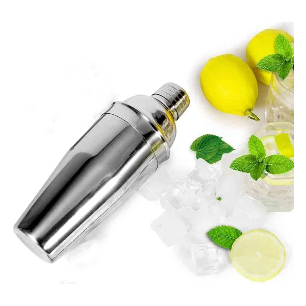 Epinox Shaker Çelik 500 Ml - Görsel 2