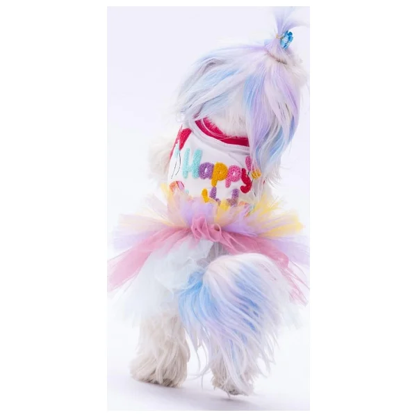 Pawstar Happy Birthday Kedi Köpek Elbisesi - Kedi Köpek Kıyafeti - Görsel 2