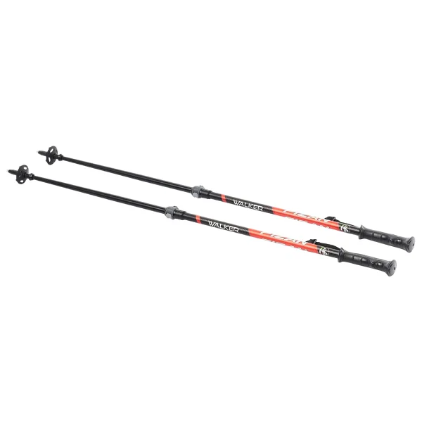 Fizan Walker 2 Section Çiftli Pole Baton - Görsel 2