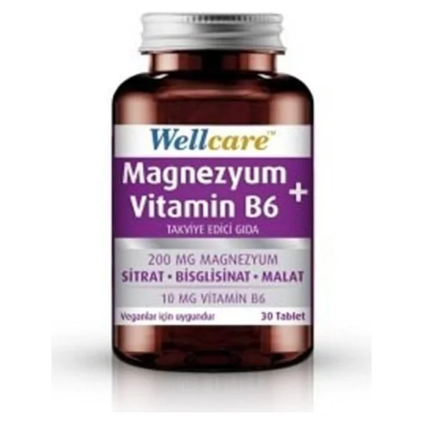 Wellcare Magnezyum + Vitamin B6 30 Tablet - Görsel 3