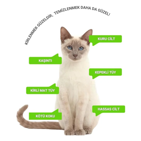 Greenwich Eldiven Mendil 20 Adet Yüz Göz Kulak Ağız Pati Arka Bölge Temizliği Kedi Köpek - Görsel 5