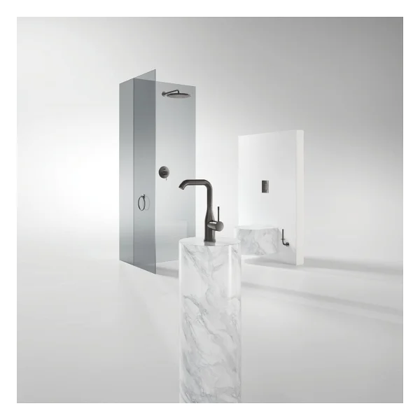 Grohe Essentials 40385al1 Brushed Hard Graphite Tuvalet Kağıtlığı - Görsel 4