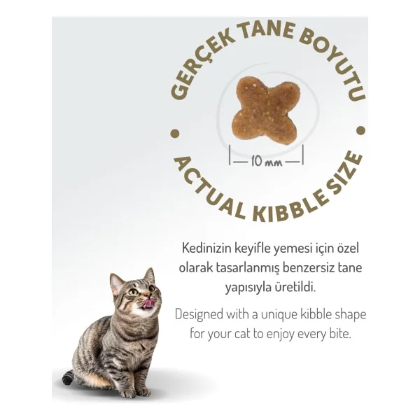 Felicia Kitten Tavuklu 2 Kg Yavru Kedi Maması - Görsel 8