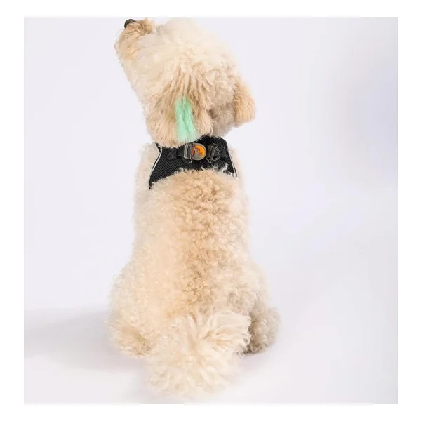 Pawstar Siyah Air-Mesh Göğüs Tasması Kedi Köpek Göğüs Tasması Siyah 3xs - Görsel 2