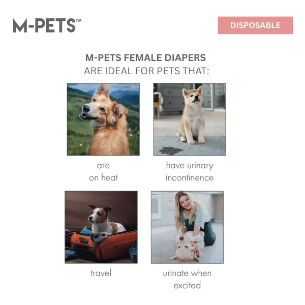 M-Pets M-Pets Diapers Dişi Köpekler Için Külot (S) 10lu - Görsel 7