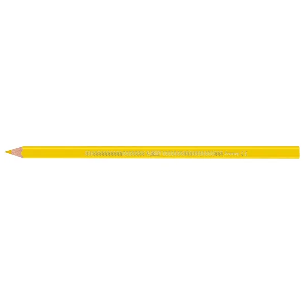 Bic Kids Evolution Metal Tüp Üçgen 12+1'li Jumbo Kuru Boya Seti - Görsel 4