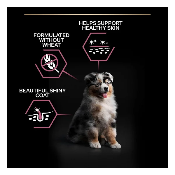 Pro Plan Medium Puppy Somonlu 3 kg Orta Irk Yavru Köpek Maması - Görsel 5