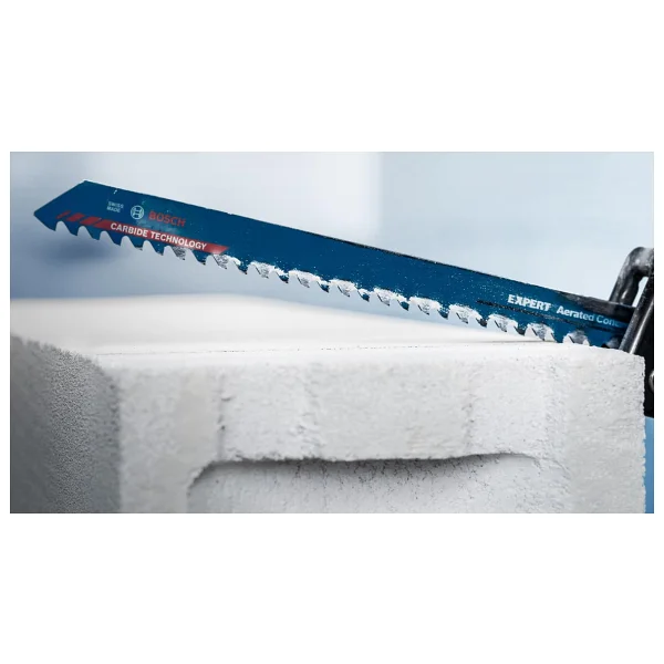 Bosch Expert Hollow Brick S1243hm 2608900417 Tilki Kuyruğu Testere Ucu - Görsel 6