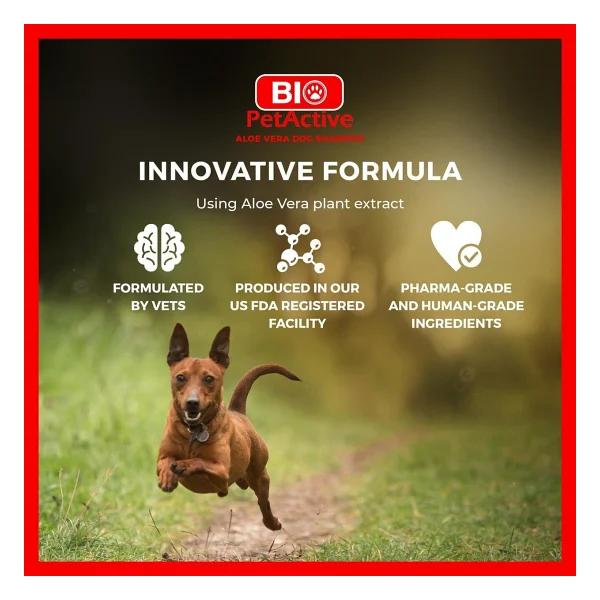 Bio Petactive Aloe Vera Özlü 400 Ml Köpek Şampuanı - Görsel 7