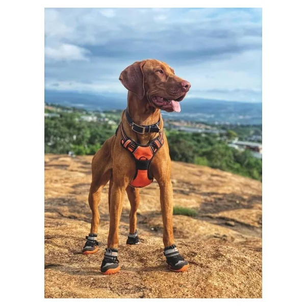 M-Pets Hiking 3 S-M Köpekler İçin Ayakkabı - Görsel 6