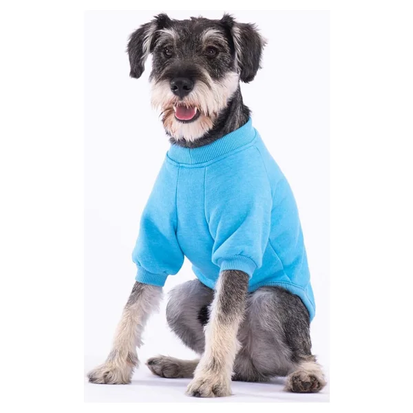 Pawstar Turkuaz Power Polarlı Küçük Irk Köpek Sweatshirtü - Görsel 2