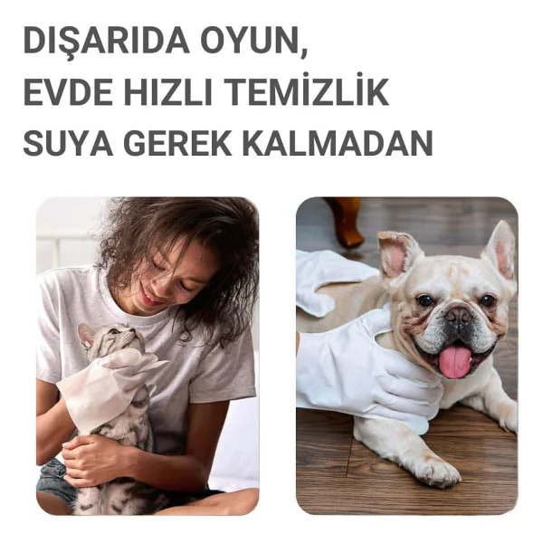 Greenwich Eldiven Mendil 20 Adet Yüz Göz Kulak Ağız Pati Arka Bölge Temizliği Kedi Köpek - Görsel 8