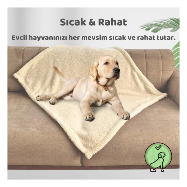 Beylini Kedi Köpek Battaniyesi Premium Peluş Evcil Hayvan Uyku Battaniyesi Yıkanabilir Krem (60x80) - Görsel 3