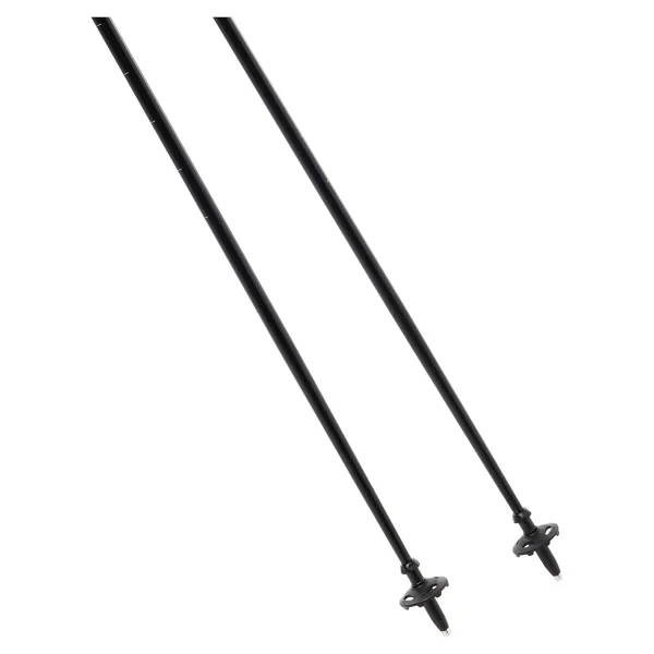 Fizan Walker 2 Section Çiftli Pole Baton - Görsel 4