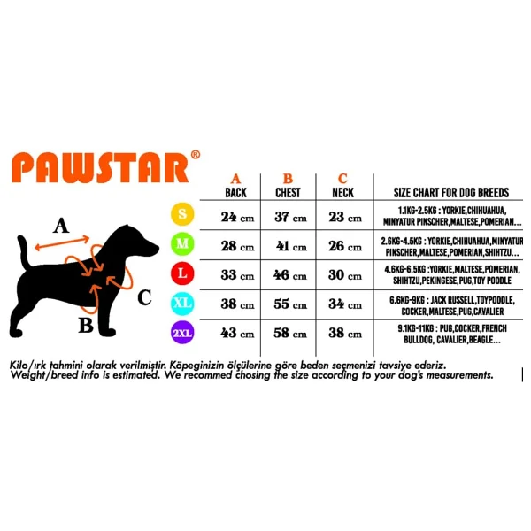 Pawstar Turkuaz Power Polarlı Küçük Irk Köpek Sweatshirtü - Görsel 5