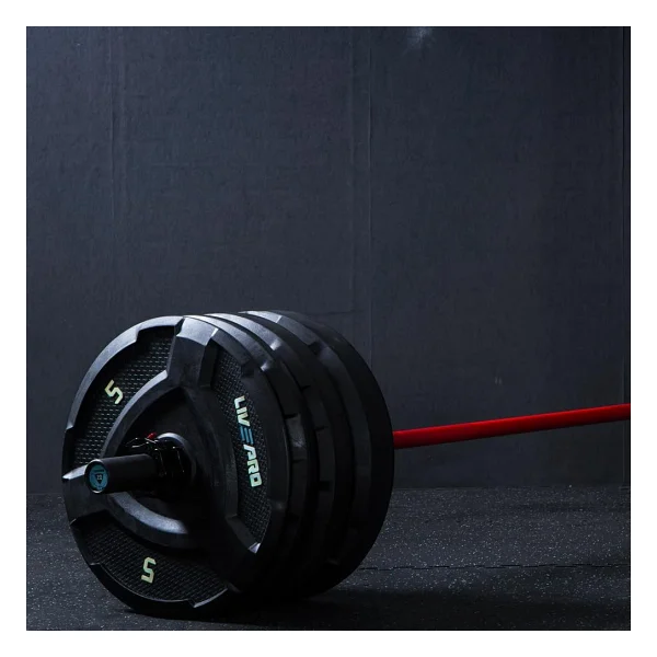 Livepro LP8022 15 kg CPU Bumper Plaka - Görsel 7