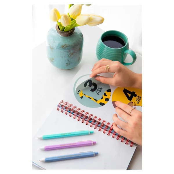 LE COLOR Bebek Anı ve Anne Hamile Albümü Kız+ 241 Sticker - Görsel 5