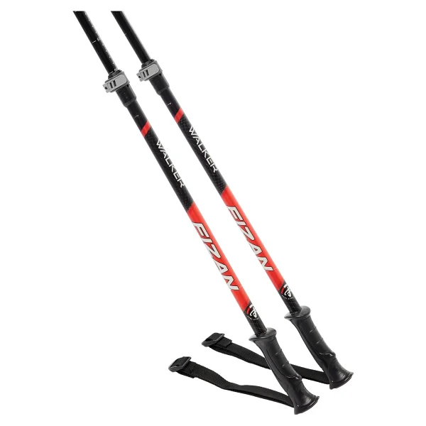 Fizan Walker 2 Section Çiftli Pole Baton - Görsel 3