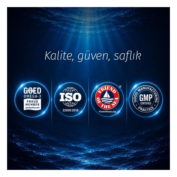 Möllers Omega 3 Balık Yağı 60 Kapsül - Görsel 6