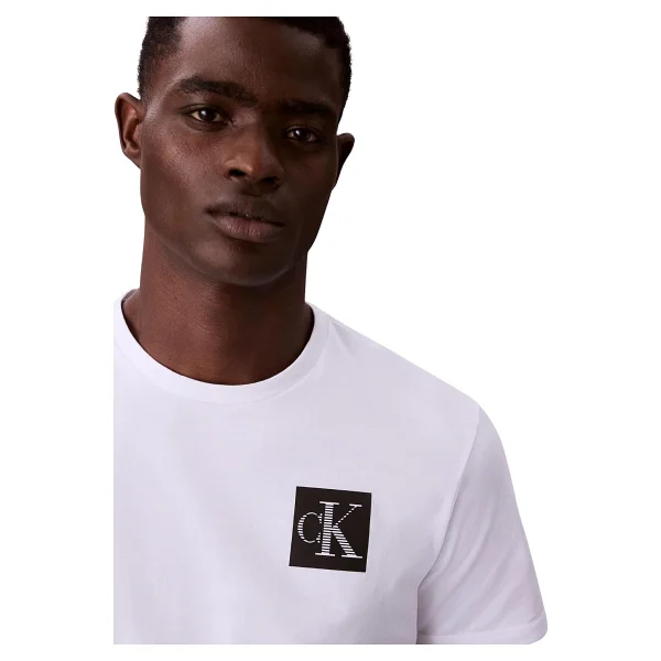 Calvin Klein Low Embroidery 16s Jersey Lv04rb295g Kısa Kollu Bisiklet Yaka Erkek Tişört - Görsel 3