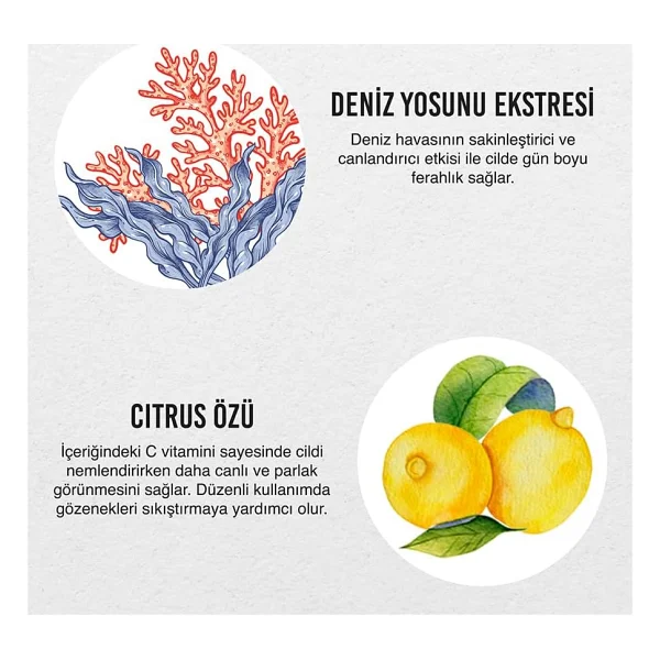Urban Care Seaweed Citrus Vücut Losyonu 250 ml - Görsel 4