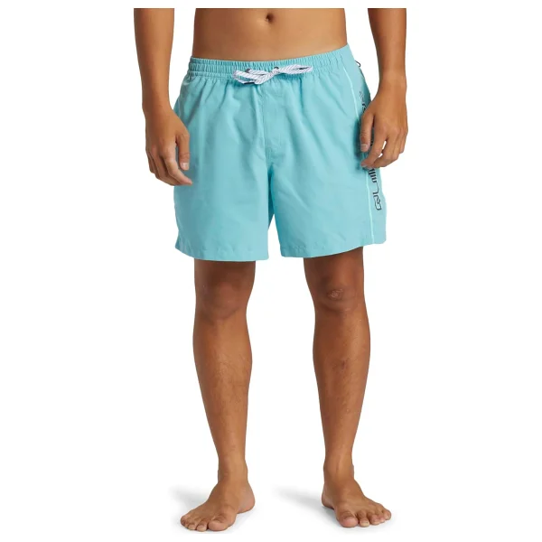 Quiksilver Surfsilk Solid 16'' Erkek Deniz Şortu - Görsel 6