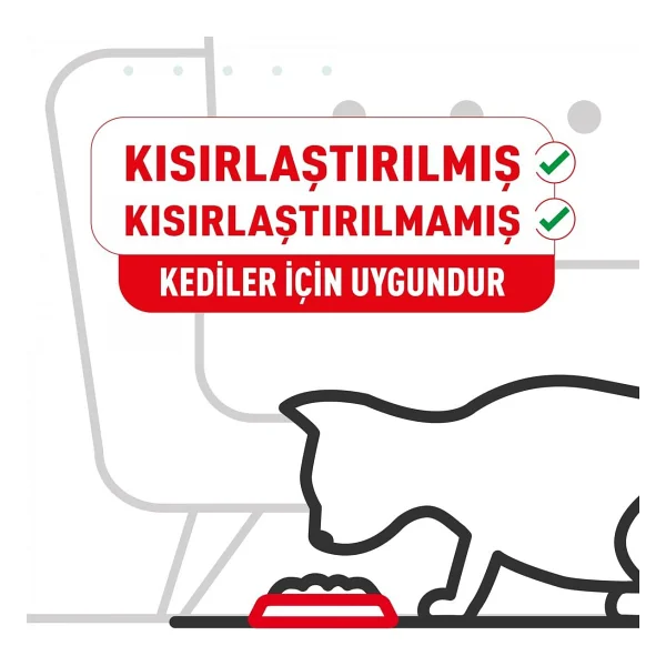 Royal Canin Sensible 33 400 Gr Yetişkin Kedi Maması - Görsel 2