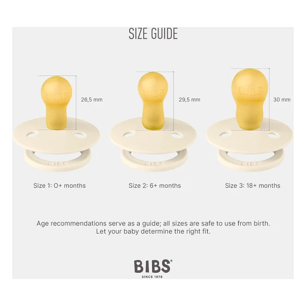 Bibs Colour 6-18 Ay İkili Kauçuk Emzik - Görsel 2