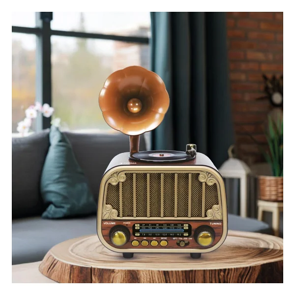 Torima D76 Nostaljik Radyo - Görsel 3