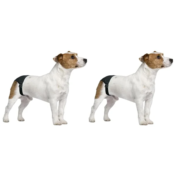 Pawise Köpek Külodu No:0 - Görsel 4