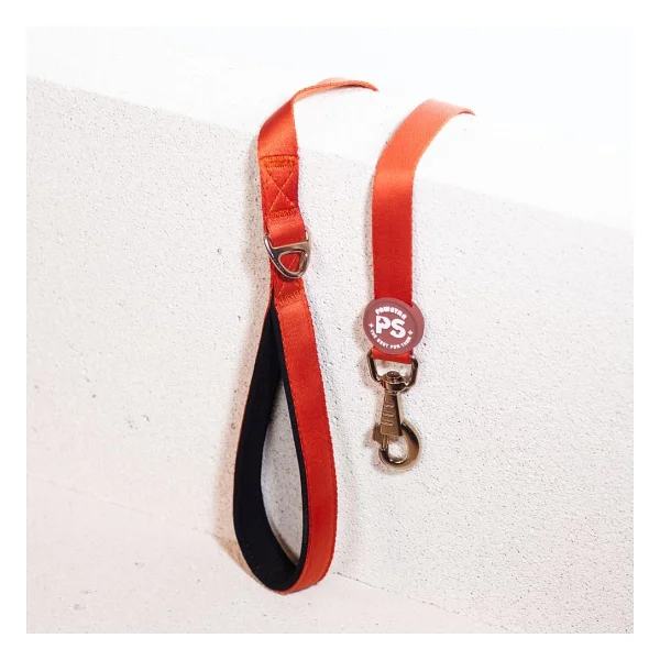 Pawstar Kiremit Köpek Gezdirme Kayışı 120 Cm X 2 Cm - Görsel 2