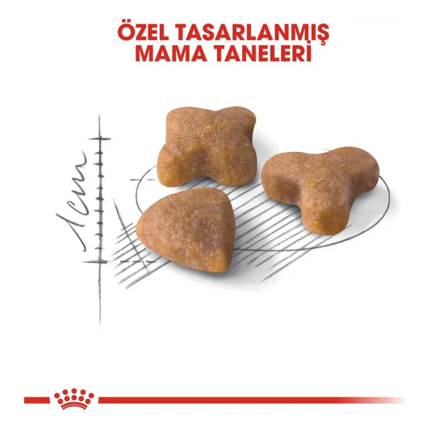 Royal Canin Sensible 33 400 Gr Yetişkin Kedi Maması - Görsel 4