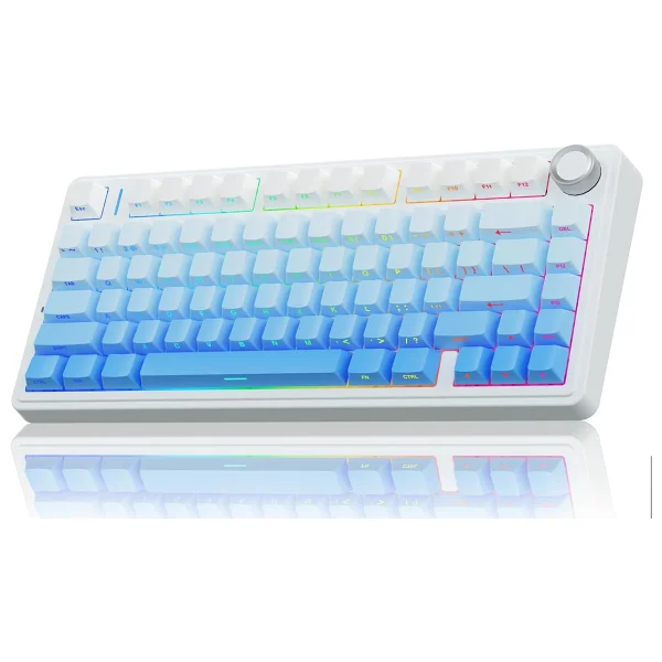 Aula F75 RGB %75 Tkl Seiya Switch Kablolu/Kablosuz Mekanik Oyuncu Klavyesi - Görsel 8
