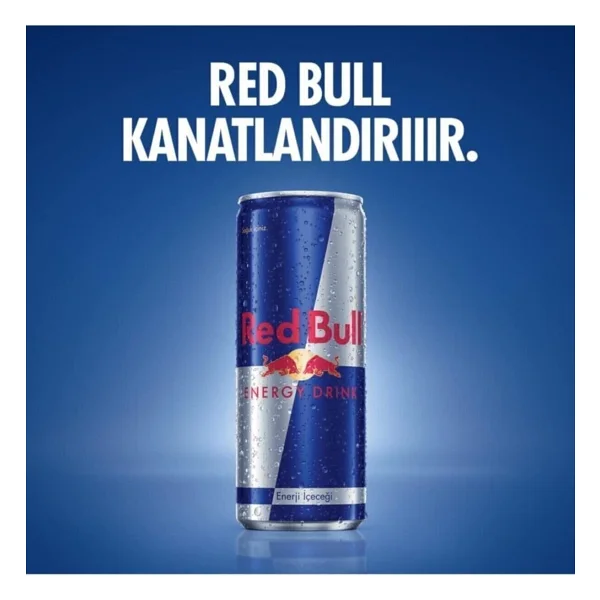 Redbull Enerji İçeceği 250 Ml Original X 12 Adet - Görsel 3