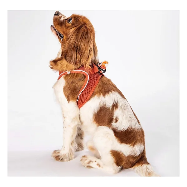 Pawstar Kiremit Air-mesh Göğüs Tasması Kedi Köpek Göğüs Tasması Kiremit 3XS - Görsel 2