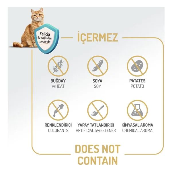 Felicia Kitten Tavuklu 2 Kg Yavru Kedi Maması - Görsel 5