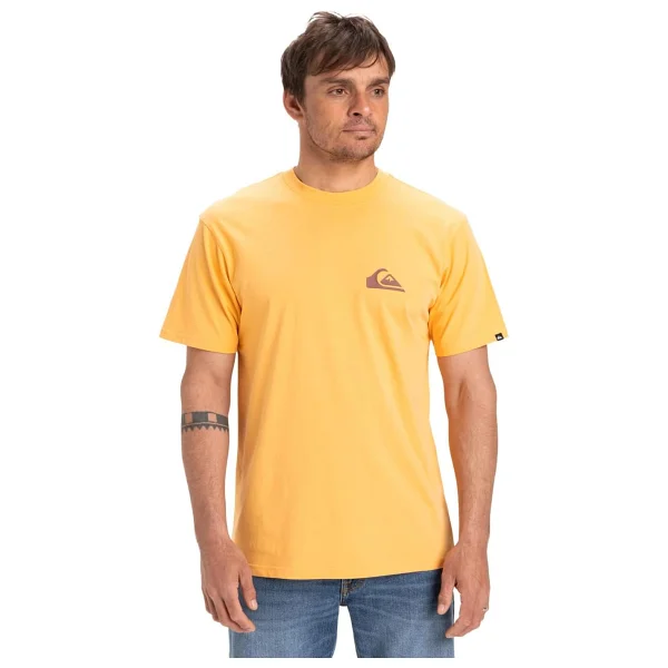 Quiksilver Ev Mini Logo Eqyzt08042 Kısa Kollu Bisiklet Yaka Erkek Tişört - Görsel 8