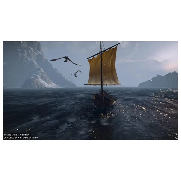 The Witcher 3 Wild Hunt Nintendo Switch Oyunu - Görsel 2
