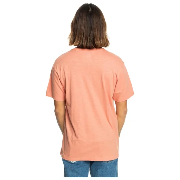 Quiksilver Step Inside EQYZT07678 Kısa Kollu Bisiklet Yaka Erkek Tişört - Görsel 2