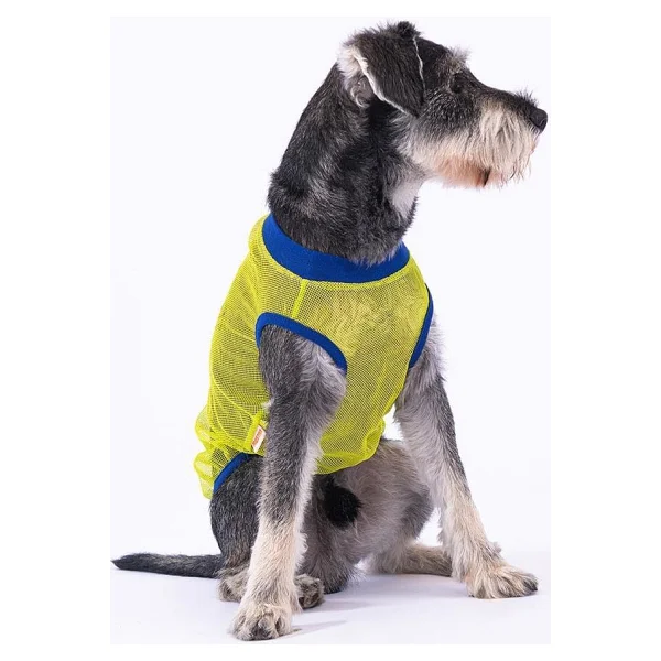 Pawstar Large Hero Kedi Ve Köpek Kıyafeti - Görsel 2