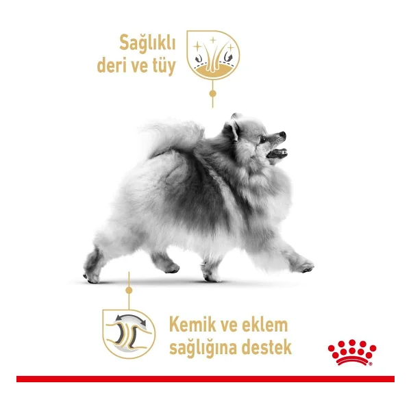 Royal Canin Pomeranian 1.5 kg Yetişkin Köpek Maması - Görsel 6