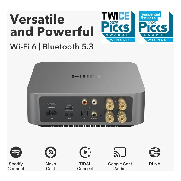 Wiim Amp Amplifikatör - Görsel 2