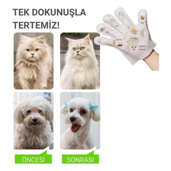 Greenwich Eldiven Mendil 20 Adet Yüz Göz Kulak Ağız Pati Arka Bölge Temizliği Kedi Köpek - Görsel 4