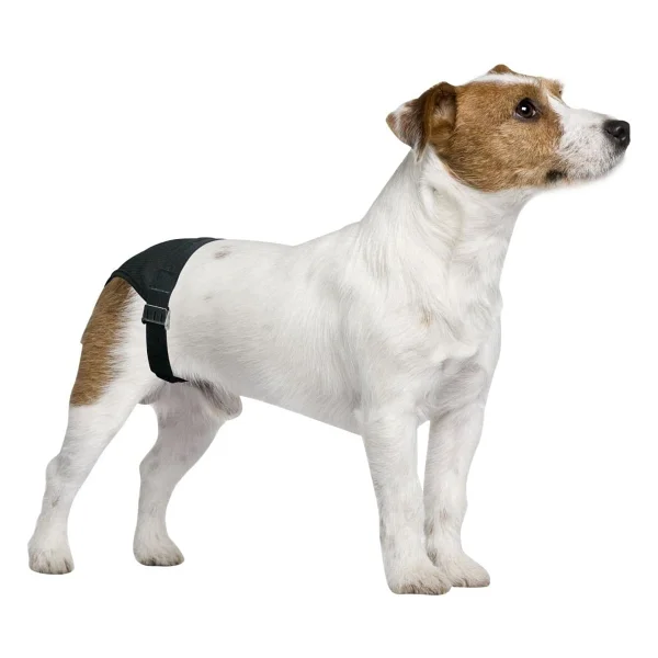 Pawise Köpek Külodu No:0 - Görsel 8