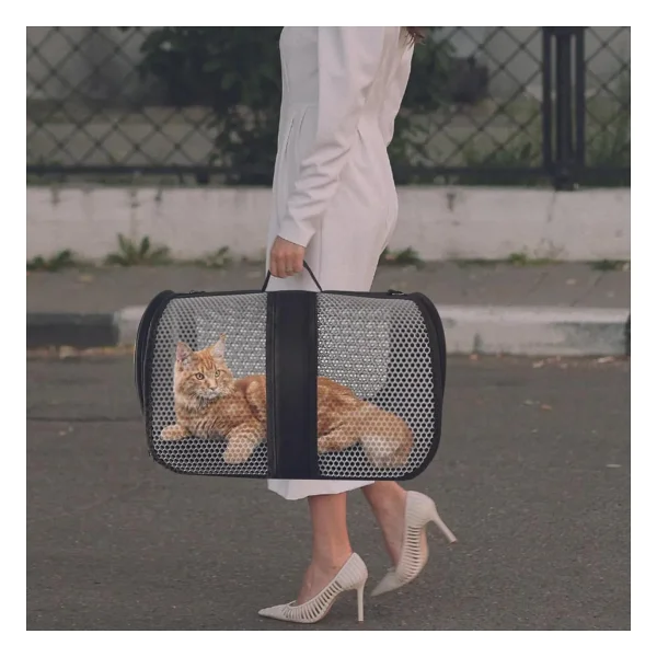 Bypet Havalandırmalı PVC Dokulu Kedi Taşıma Çantası, Uçak Seyahatine Uygun - Görsel 3